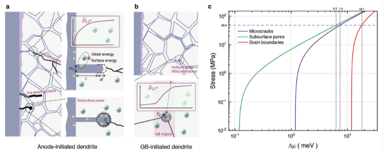 【純計算】港中文Zhengcheng Gu教授AEM：全固態(tài)鋰金屬電池中陽極引發(fā)和晶界引發(fā)枝晶形成機(jī)制的研究進(jìn)展