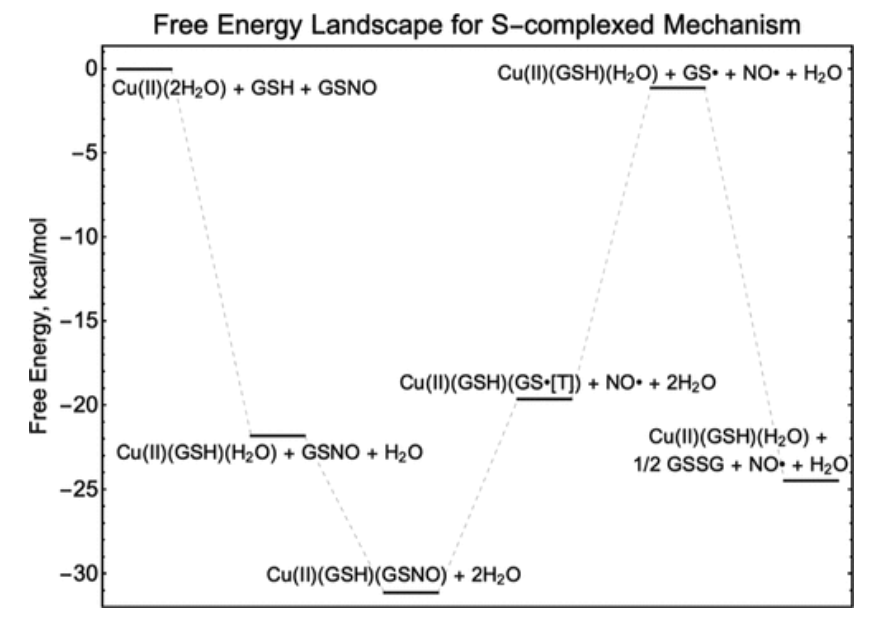 【純計算】JACS: 銅金屬-有機(jī)骨架催化S-亞硝基谷胱甘肽生成NO機(jī)制的計算研究