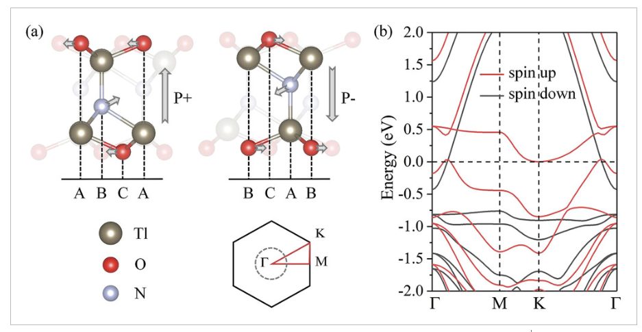 【純計(jì)算】AFM：二維晶格中的d0磁性skyrmions