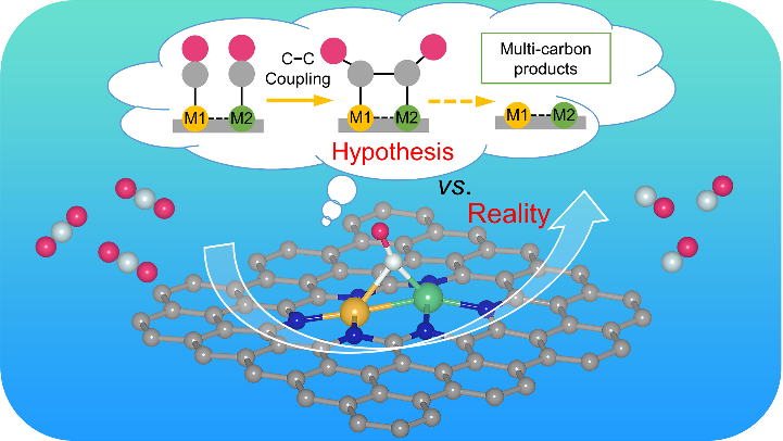 【純計(jì)算】華電楊維結(jié)/日本東北大李昊等：當(dāng)前火熱的雙原子催化劑為何仍難以實(shí)現(xiàn)碳–碳偶聯(lián)？