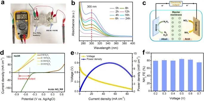 支春義教授，最新Nature子刊！