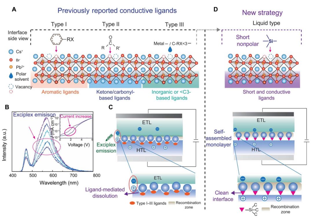 超燃！他，Nature Catalysis、Science Advances再次背靠背！