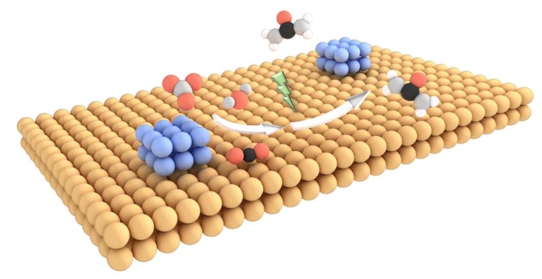 超燃！他，Nature Catalysis、Science Advances再次背靠背！