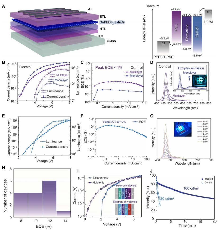 超燃！他，Nature Catalysis、Science Advances再次背靠背！