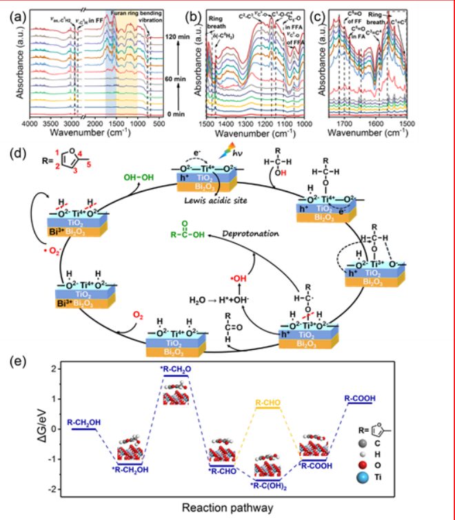 最新【計算+實驗】案例解讀：Nature子刊、JACS 、Angew、ACS Catalysis、ACS Nano等