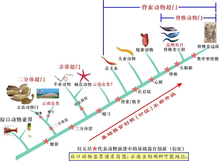 院士團隊，發(fā)表第16篇Nature、Science！