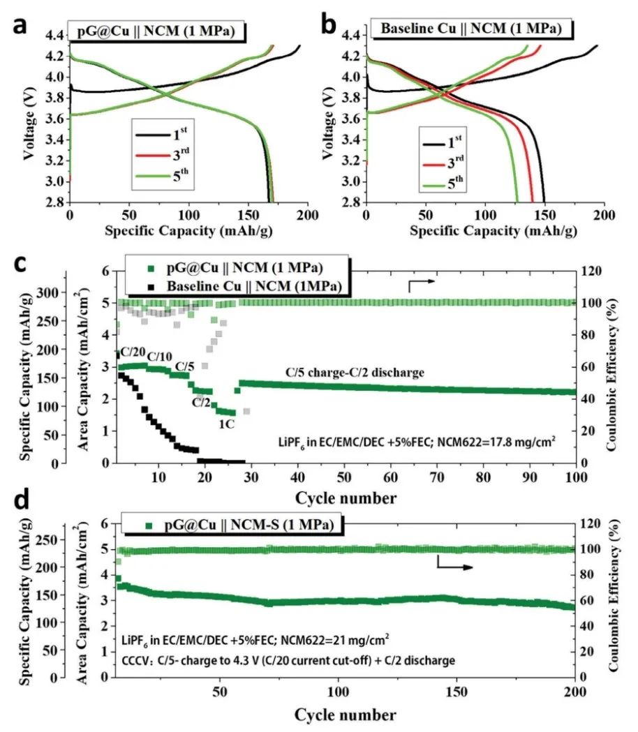 ?川大/德克薩斯大學(xué)AEM：無負(fù)極金屬鋰電池中外部壓力、SEI 結(jié)構(gòu)和電沉積形態(tài)之間的相互關(guān)系