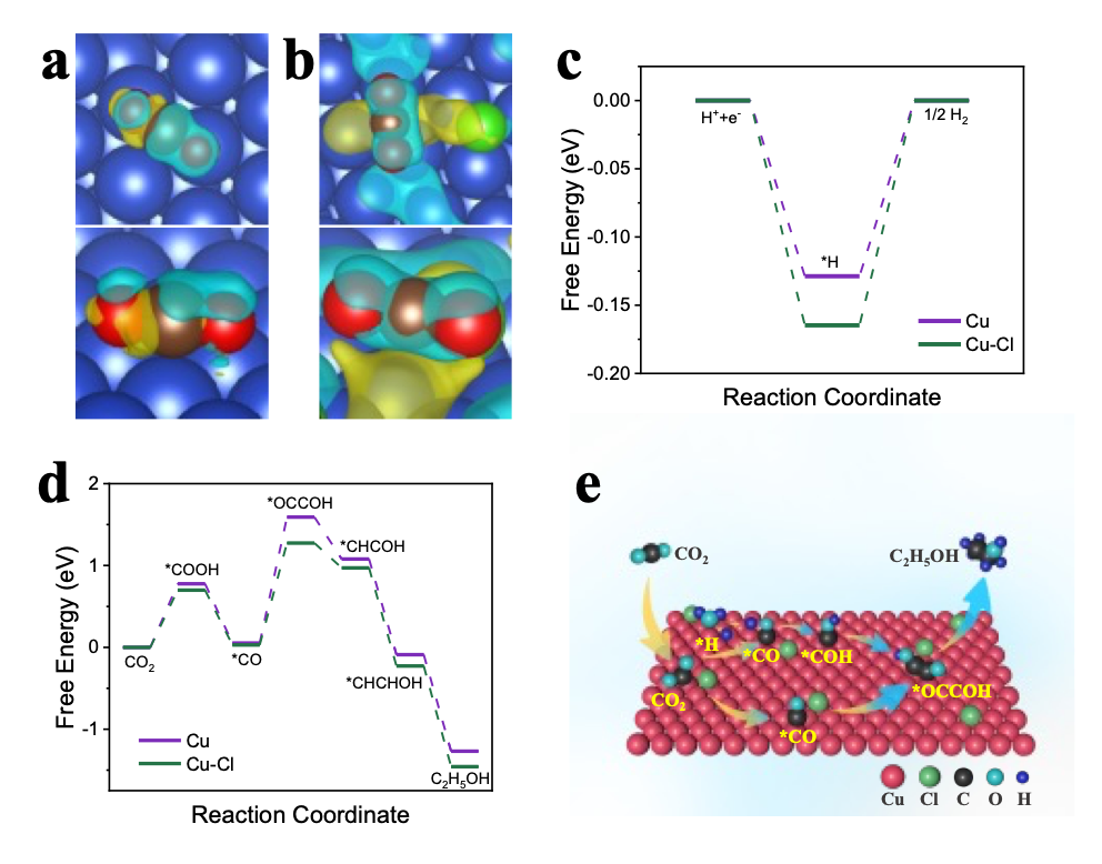 【DFT+實驗】上?？萍即髮W(xué)林柏霖課題組：鹵素修飾的銅基催化劑促進高效電化學(xué)還原CO?產(chǎn)乙醇