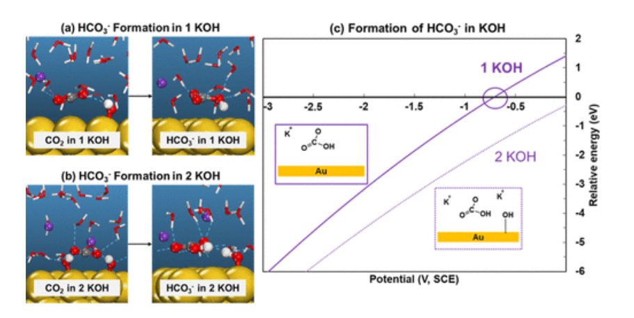 【計算文獻(xiàn)解讀】ACS Catalysis：KOH濃度的影響和OH–在CO2電催化還原中的作用