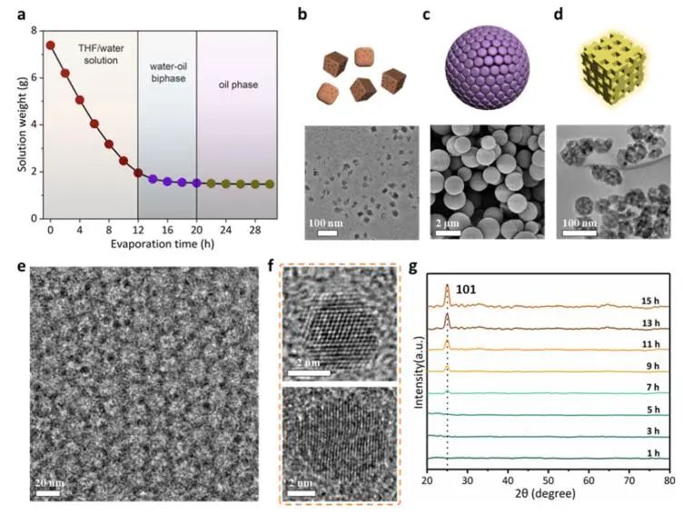 趙東元院士/蘭坤教授，最新JACS！