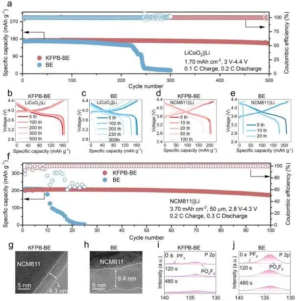 8篇頂刊速遞：郭玉國、崔光磊、侴術(shù)雷、鄭子劍、孫潔、周江、梁叔全、王成亮、辛森、李麗等成果集錦！