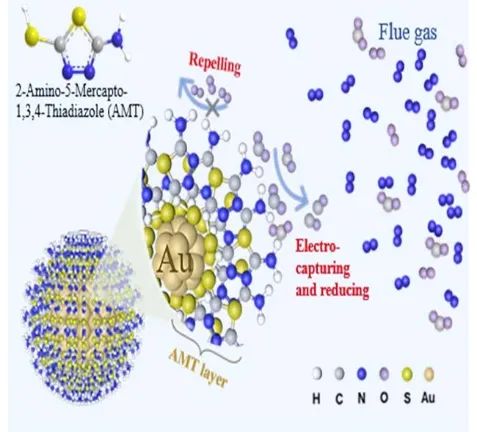 天大康鵬課題組AFM：分子修飾材料助力電化學(xué)碳捕集轉(zhuǎn)化一體化