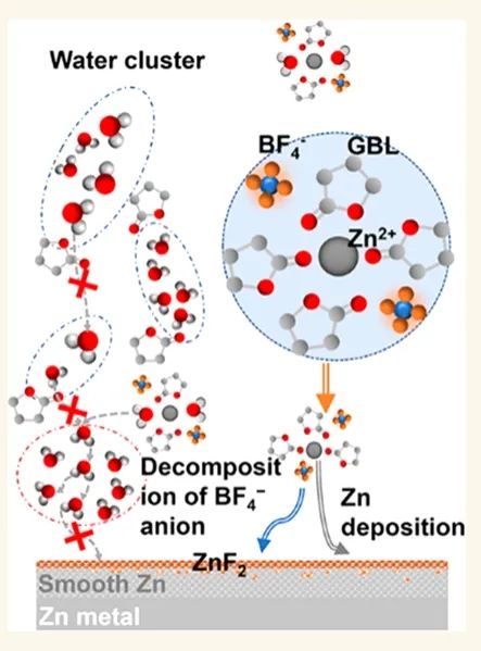 ?ACS Nano：陽離子溶劑重組和氟化中間相的協(xié)同作用實現(xiàn)鋅金屬負極的高可逆性