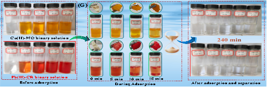 張光華/冀豪棟/曾湘楚CEJ：協(xié)同去除水體二元污染物中絡(luò)合-吸附-降解的分子水平理解