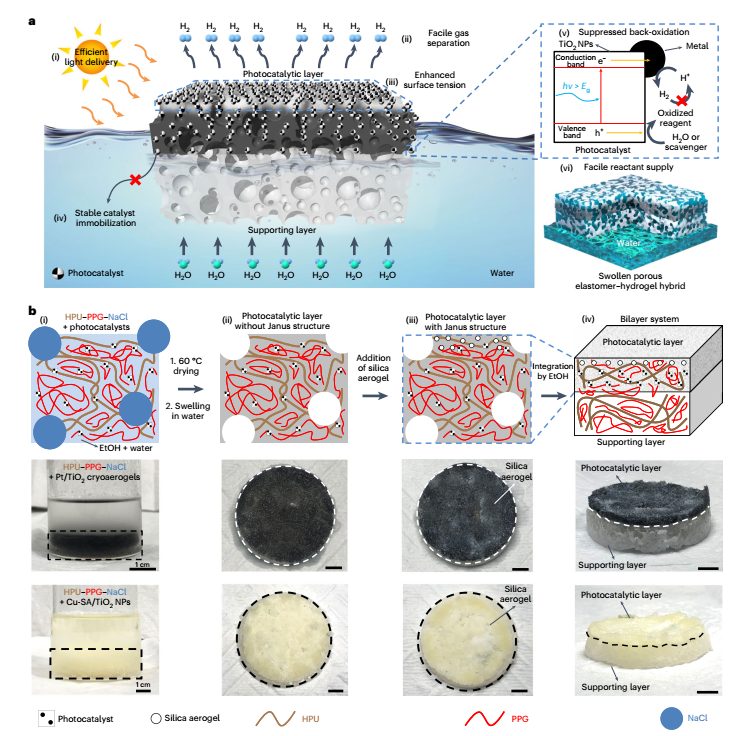 里程碑突破！Nature Nanotechnology：光催化產(chǎn)氫，實(shí)現(xiàn)大規(guī)模應(yīng)用！