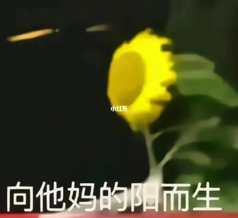 寫(xiě)論文寫(xiě)崩潰，花300找算命的算了一卦！結(jié)果......