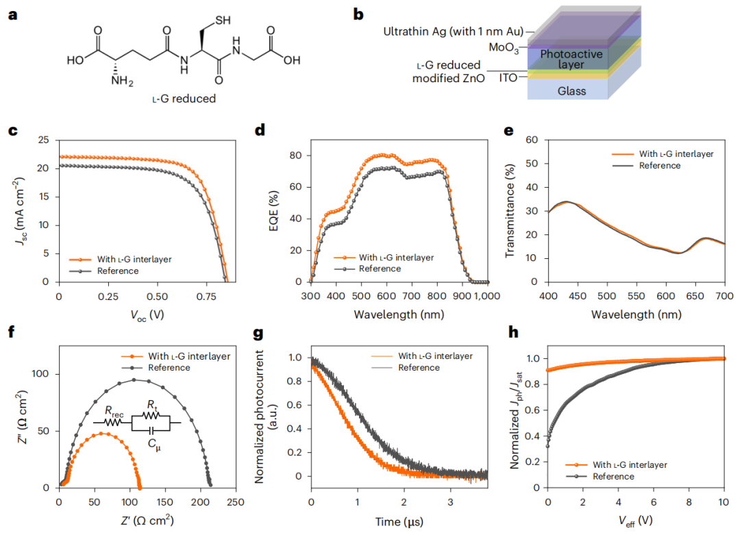 重大突破！UCLA楊陽最新Nature Sustainability！