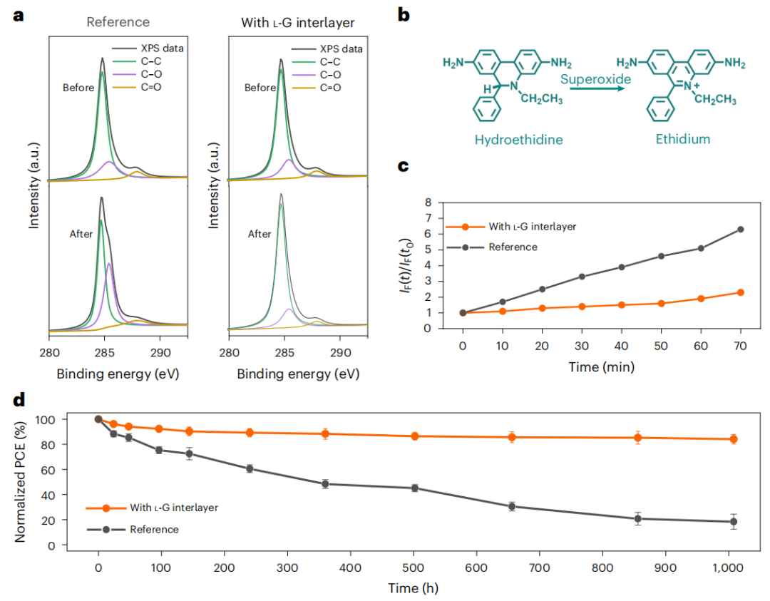 重大突破！UCLA楊陽最新Nature Sustainability！