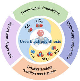 （綜述）昆士蘭科技大學(xué)寇良志教授團(tuán)隊(duì)AFM|理論模擬加速尿素電化學(xué)合成