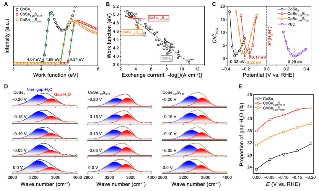 中科大高敏銳：最新Science子刊！