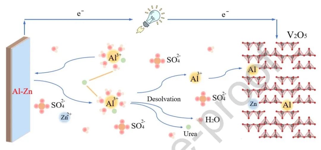 ?上交Nano Energy：尿素基水合共晶電解質(zhì)用于水系鋁鋅混合離子電池