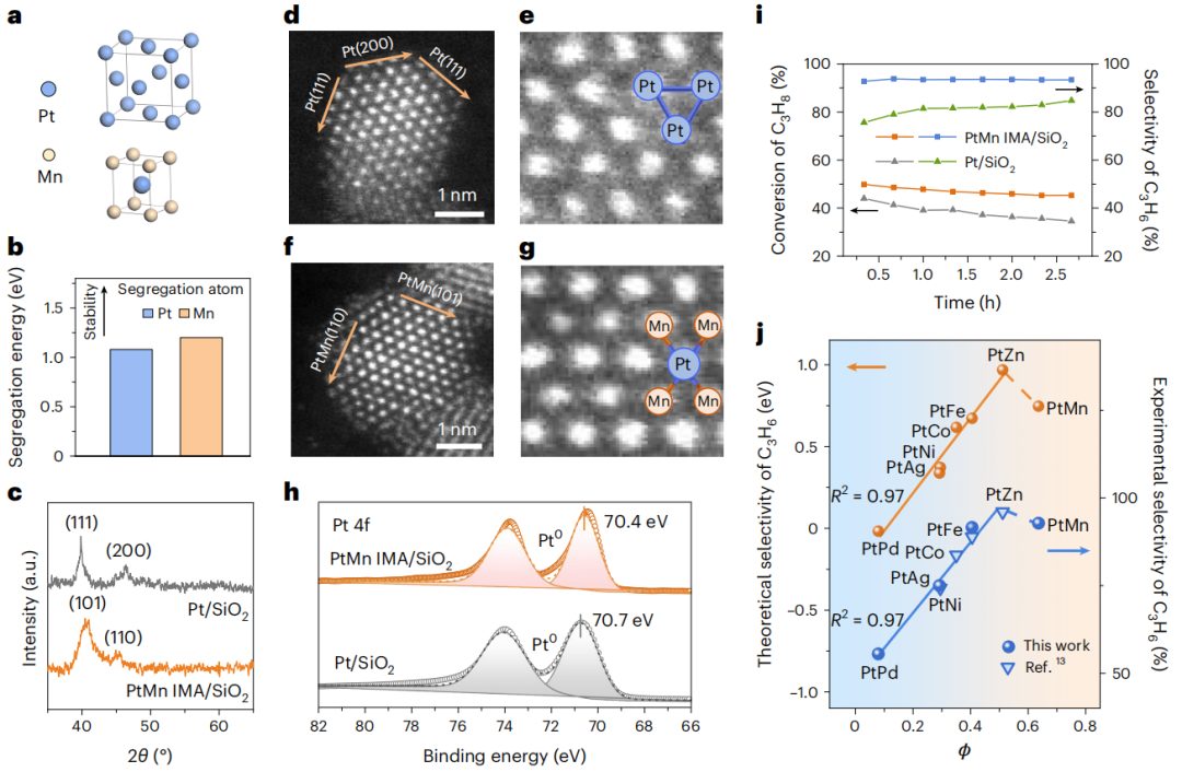 “試錯”到“一鍵篩選”！天津大學(xué)鞏金龍教授最新Nature Nanotechnology！