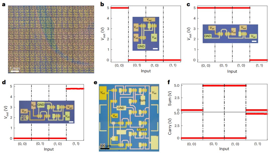 強(qiáng)強(qiáng)聯(lián)合！湖大段曦東教授&劉淵教授，今日Nature Nanotechnology！