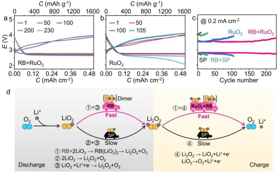 南開(kāi)大學(xué)Angew：Li-O2電池超氧化物歧化反應(yīng)的新途徑！