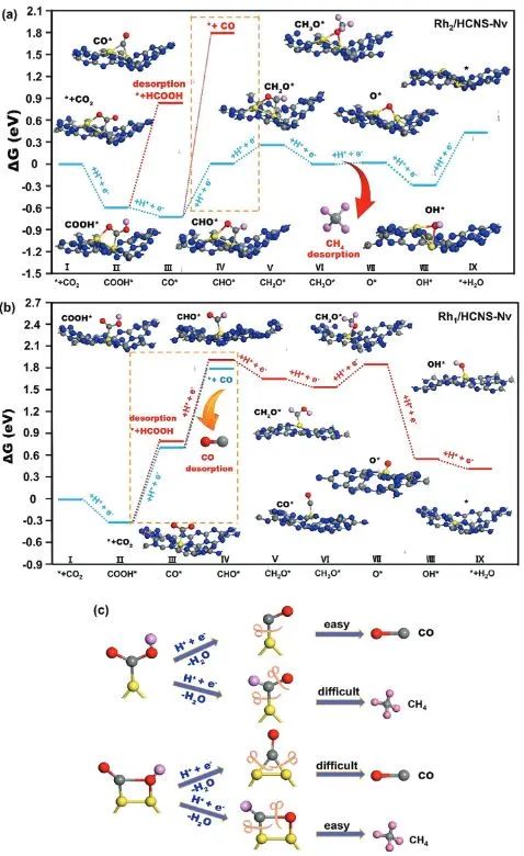 ?廣西大學(xué)AFM：用于高效光催化CO2還原的氮化碳雙原子Rh催化劑