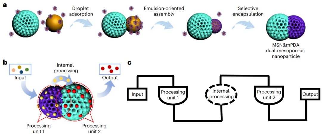 復旦大學李曉民/趙東元院士，今日Nature Chemistry！這個介孔結(jié)構(gòu)美翻了！