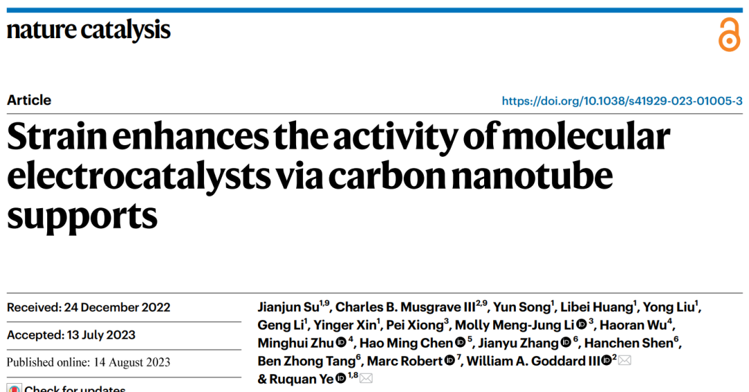 【GC-DFT+實驗】葉汝全團隊Nature Catalysis：給單原子催化劑施加一點應變，效果更好！