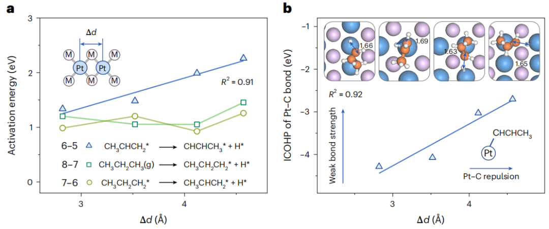 “試錯”到“一鍵篩選”！天津大學(xué)鞏金龍教授最新Nature Nanotechnology！