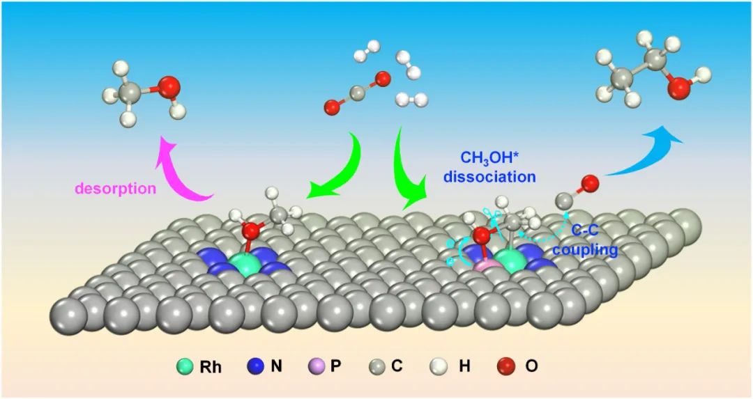 江南大學(xué)劉小浩團(tuán)隊(duì)ACB：磷的親氧性強(qiáng)化C-O鍵解離助力CO2加氫從甲醇到乙醇可切換合成