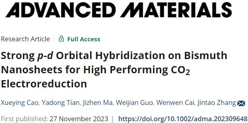 山東大學(xué)AM：強(qiáng)p-d軌道雜化的鉍納米片用于高效CO2電還原