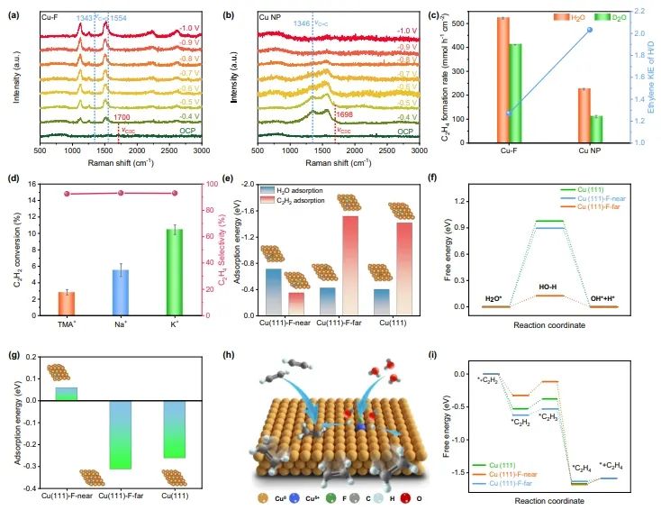 屈云騰/冷坤岳/鄭黎榮Nature子刊：H在F改性Cu上定位轉(zhuǎn)移，實(shí)現(xiàn)高效電催化乙炔制乙烯