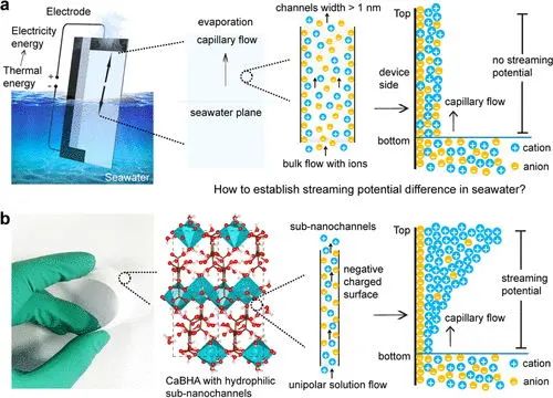 夏寶玉/劉宏芳，最新JACS！