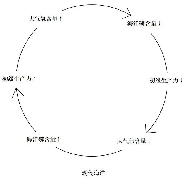 國(guó)家杰青，打破 67 年校史記錄，首發(fā) Nature！