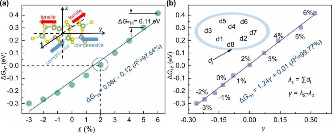 JEC：通過DFT和機(jī)器學(xué)習(xí)方法理解單原子摻雜二維GaPS4催化劑的析氫反應(yīng)活性