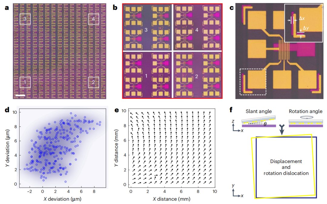 強(qiáng)強(qiáng)聯(lián)合！湖大段曦東教授&劉淵教授，今日Nature Nanotechnology！