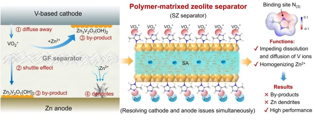 ?松山湖實(shí)驗(yàn)室Angew：沸石基隔膜抑制陰極活性材料溶解，獲得耐用水系鋅電池