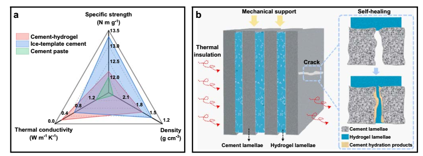史上最韌復(fù)合水泥問世！東南大學(xué)重磅成果，登上Nature子刊！