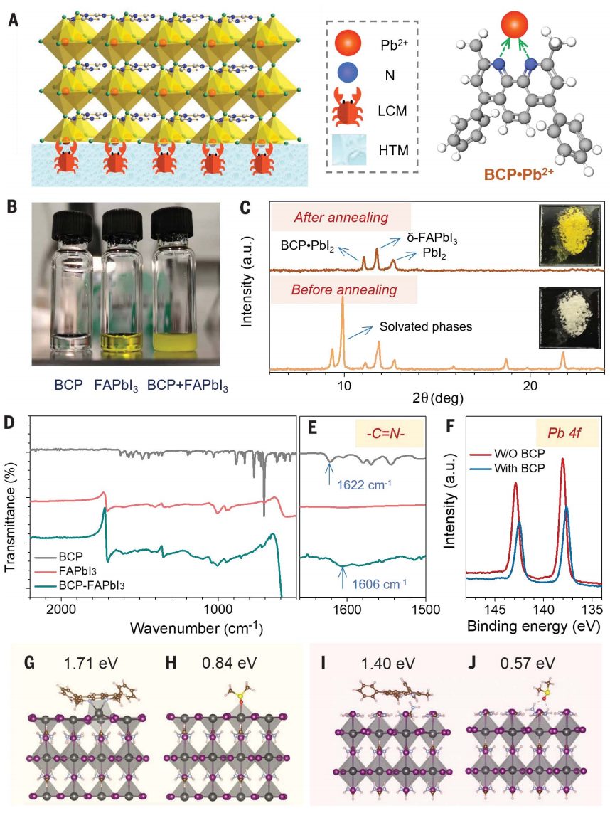 太牛了，這個領域兩天3篇Nature+1篇Science！