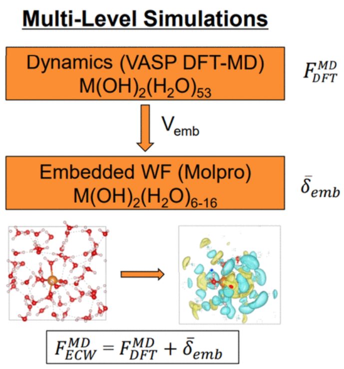 【純計(jì)算】JACS：用多級(jí)量子力學(xué)/分子動(dòng)力學(xué)模擬探討水溶液中Mg和Ca離子的pH依賴脫水動(dòng)力學(xué)