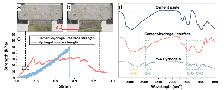 史上最韌復(fù)合水泥問世！東南大學(xué)重磅成果，登上Nature子刊！