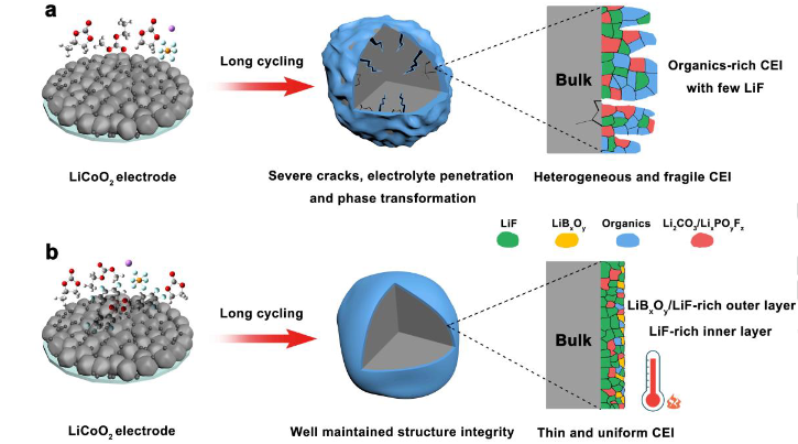 【DFT+實(shí)驗(yàn)】湖南大學(xué)馬建民Angew  CEI構(gòu)建實(shí)現(xiàn)4.6V和70°C Li||LiCoO2電池