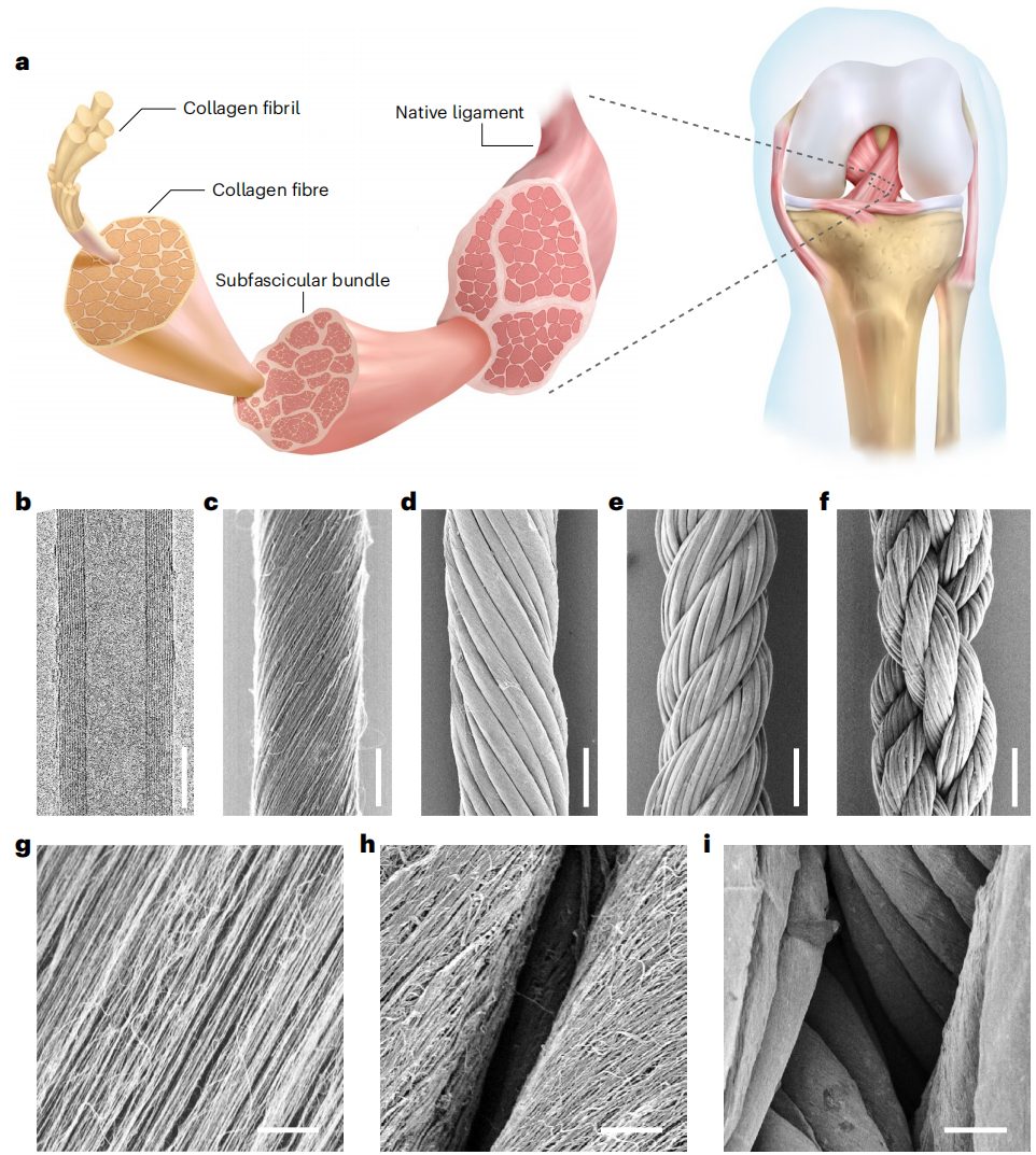 彭慧勝教授，2023年首篇Nature Nanotechnology！