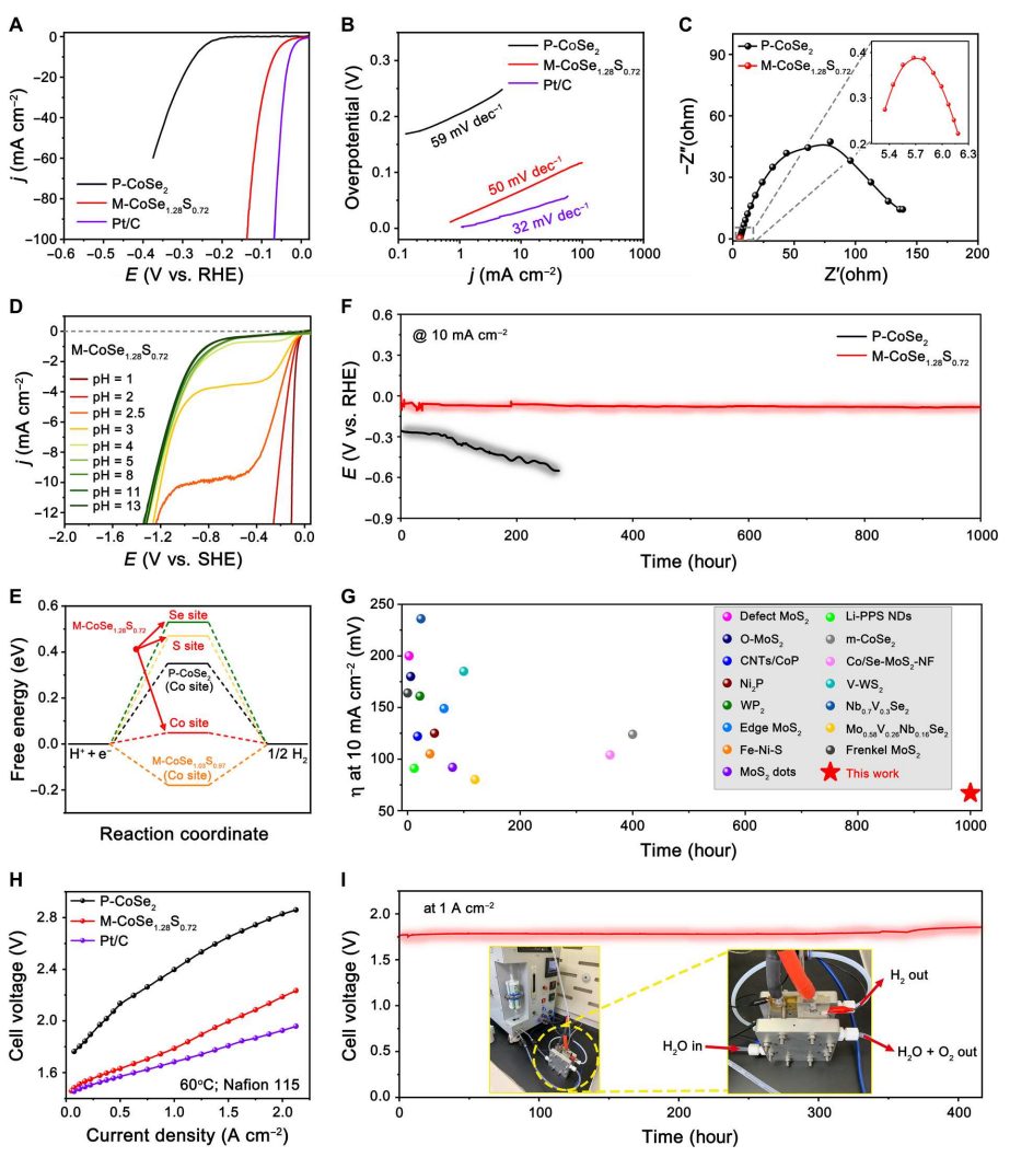 中科大高敏銳：最新Science子刊！