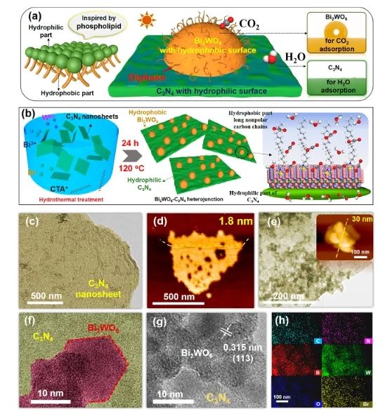 華南理工大學(xué)ACS Catalysis： 構(gòu)建疏水-親水雙相異質(zhì)結(jié)，有效促進(jìn)光催化CO2還原