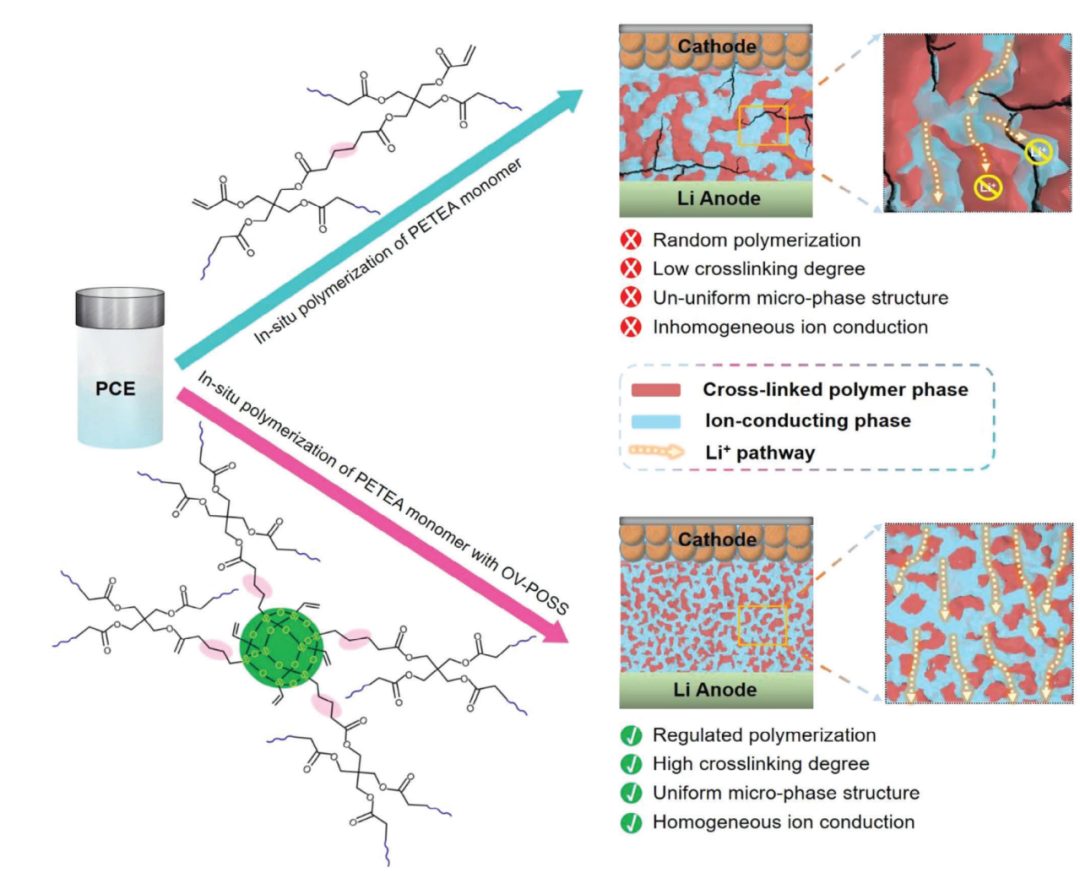 【DFT+實(shí)驗(yàn)】浙江大學(xué)陸俊教授團(tuán)隊(duì)AFM：準(zhǔn)固態(tài)鋰金屬電池塑料晶體凝膠聚合物電解質(zhì)中微相結(jié)構(gòu)的調(diào)節(jié)