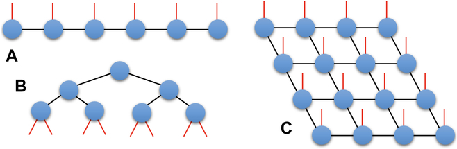 國科大&首師大合作綜述，「白盒」張量網(wǎng)絡(luò)：增強(qiáng)量子機(jī)器學(xué)習(xí)的可解釋性和效率